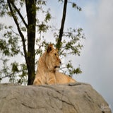 DSC_0655.jpg
