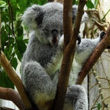 DSCN2688.jpg