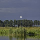 Lofar