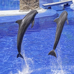 dsc_51212-1.jpg