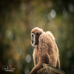dsc_78072-1.jpg