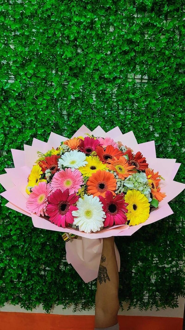 30 GERBERAS DE COLORES