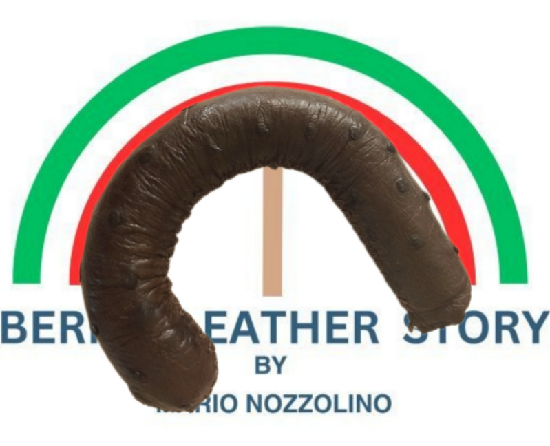 1000043745-standard-zejvco.png