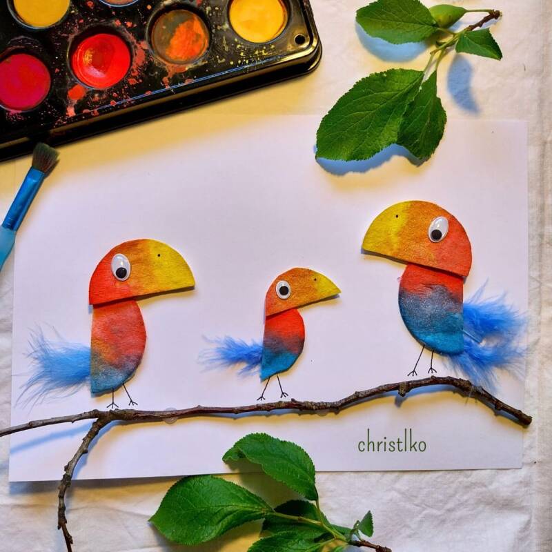 wattepad wattepads basteln kinder mit kind christlko tukan familie naturmaterial naturmaterialien natur farbverlauf kreativ wasserfarbe wasserfarben christlko bunt vogel feder federn kindergarten grundschule volksschule schule in der im wackelauge frühlin
