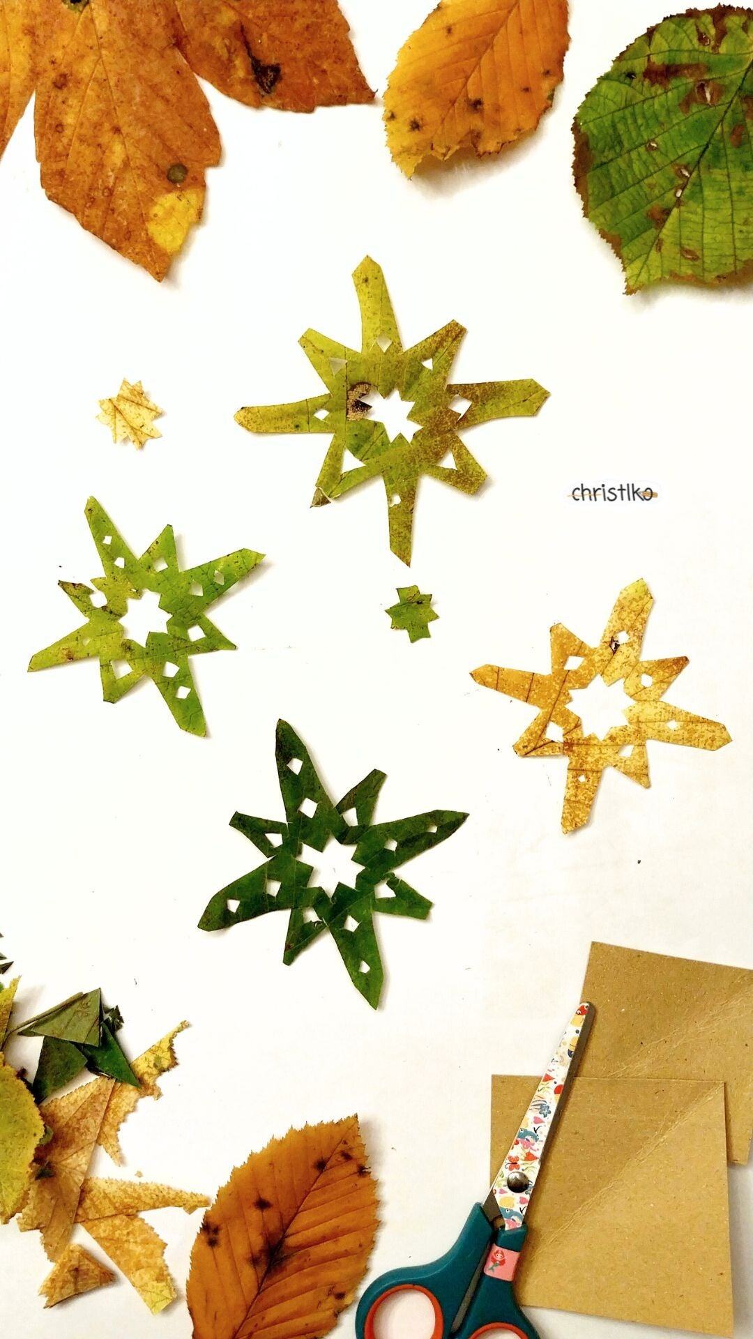 Scherenschnitt Stern Sterne Blatt blätter Herbstblätter christlko basteln mit kindern kind kindergarten schule hort erzieherin lehrerin fensterdeko weihnachten im winter fensterschmuck fenster schmücken natur naturmaterial naturmaterialien christlko weihn