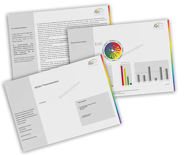 AECdisc® Talentanalyse