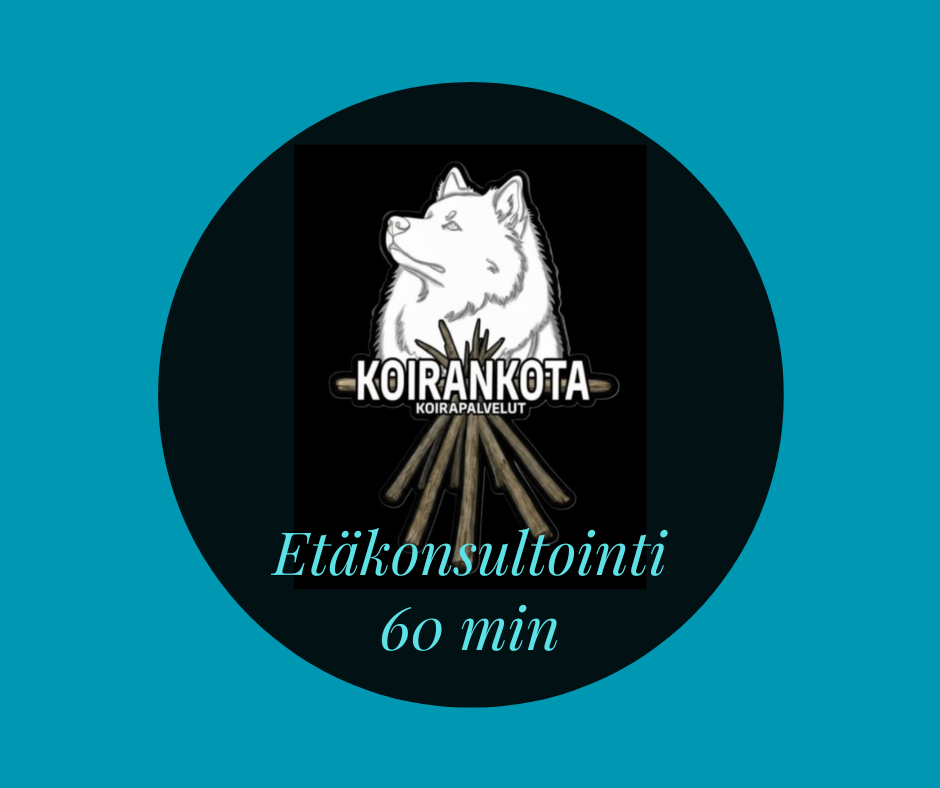 Etäkonsultointi alkukartoitus 60min