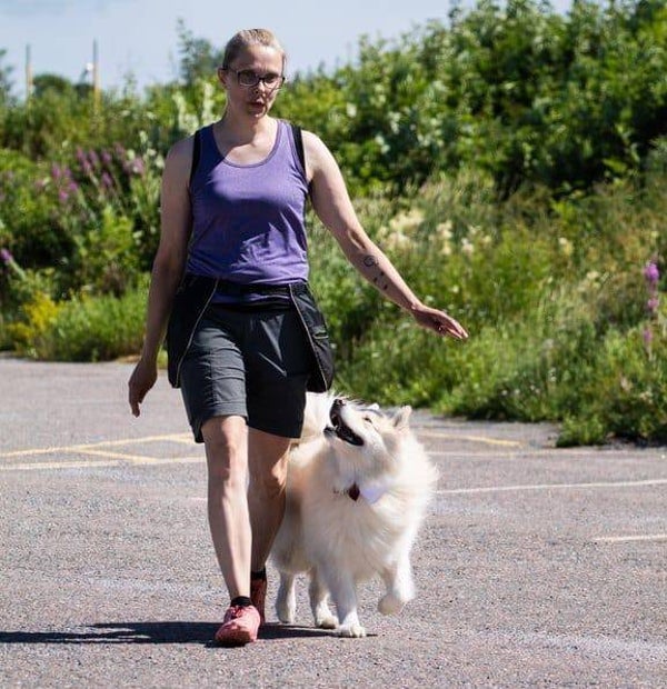 Seuraamisen pohjat - kurssi Ke 12.11. (3krt)