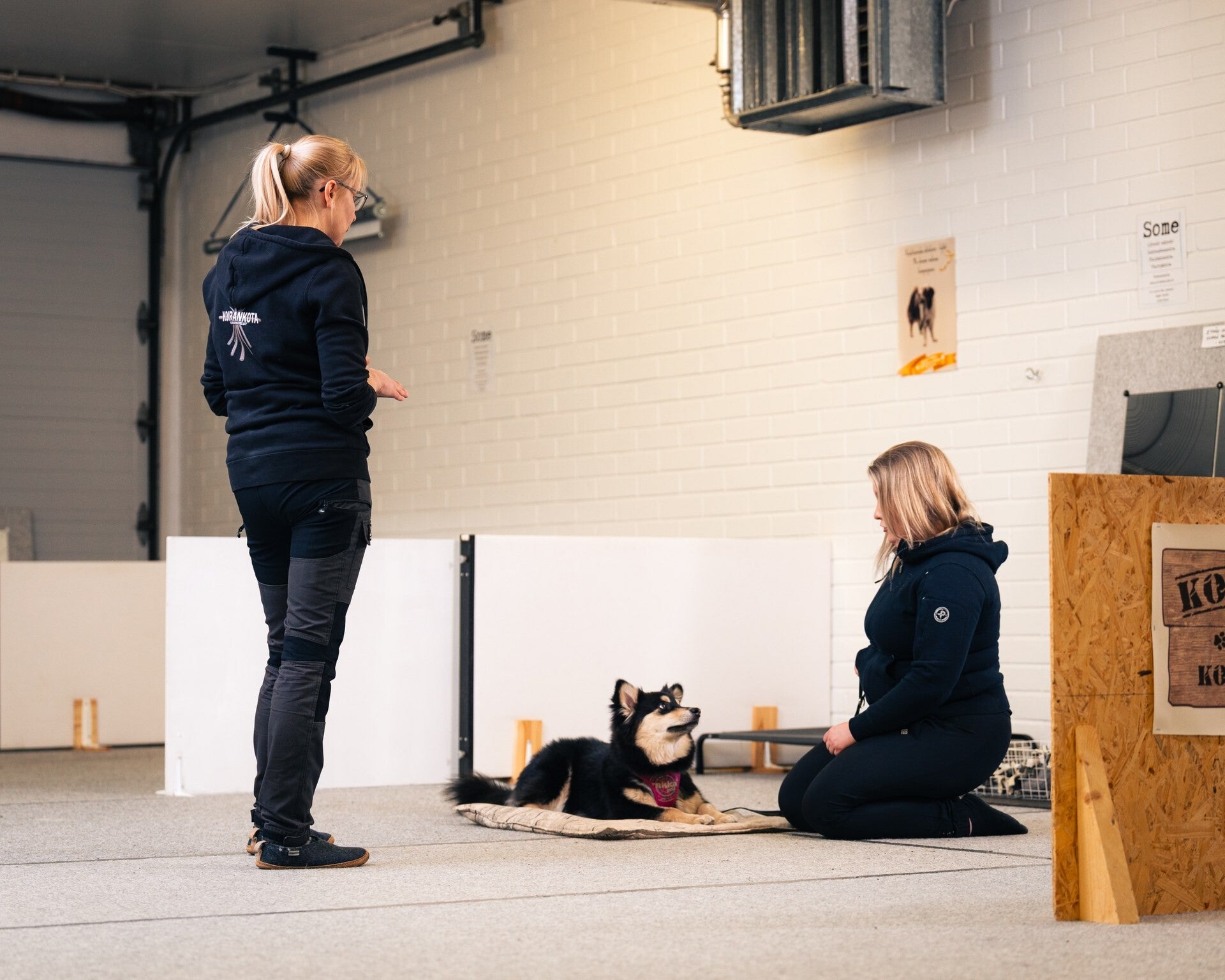 Koirankodan Johanna ohjaa asiakasta rauhoittumisharjoituksissa koulutushallissa, suomenlapinkoira pentu ja omistaja kuvassa myös istumassa lattialla