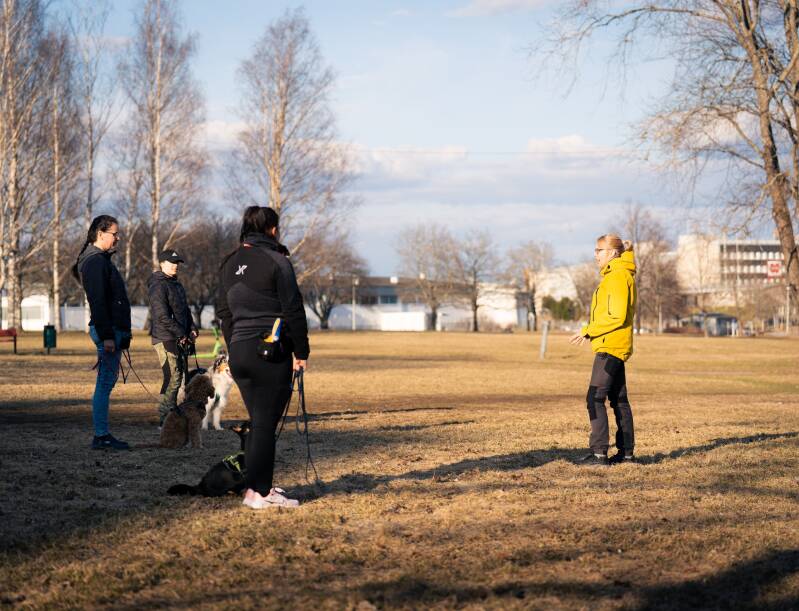 koirankouluttaja ohjaa kurssilaisia ulkona