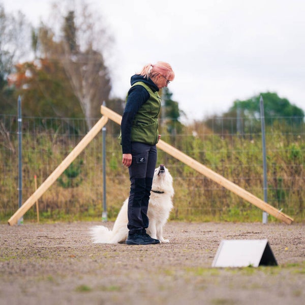 Rallytekniikan täsmätunti To 29.10. klo 17.15 / kota koirat kenttä