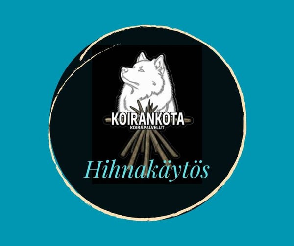 Hihnakäytös abc alk. Su 11.1.2025 (7krt)