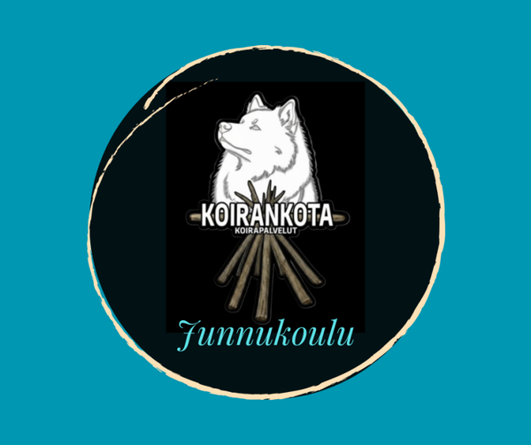 Junnukoulu To 8.1.2026 (6krt)