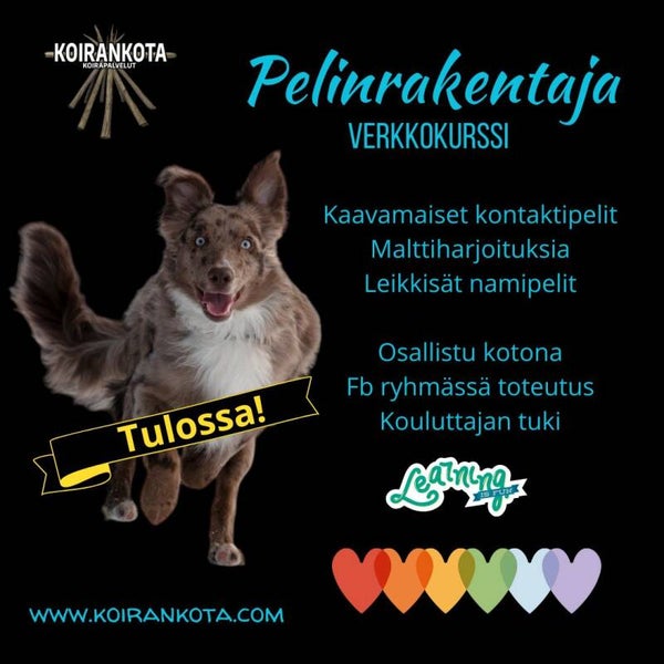 Pelinrakentajat verkkokurssi FB ryhmässä alk. 3.10. Pe