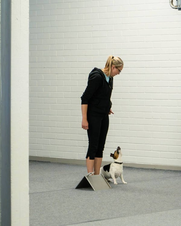 Ratavuoro 3omin / 17.8. su klo 14.00 -14.30