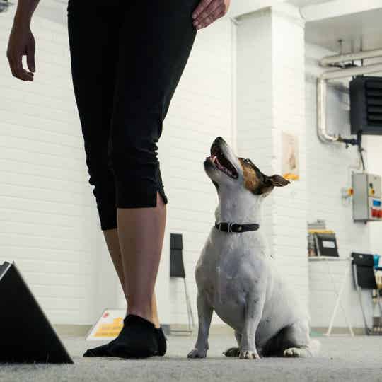 Rally-tokon teematunti - peruutus Su 30.11.