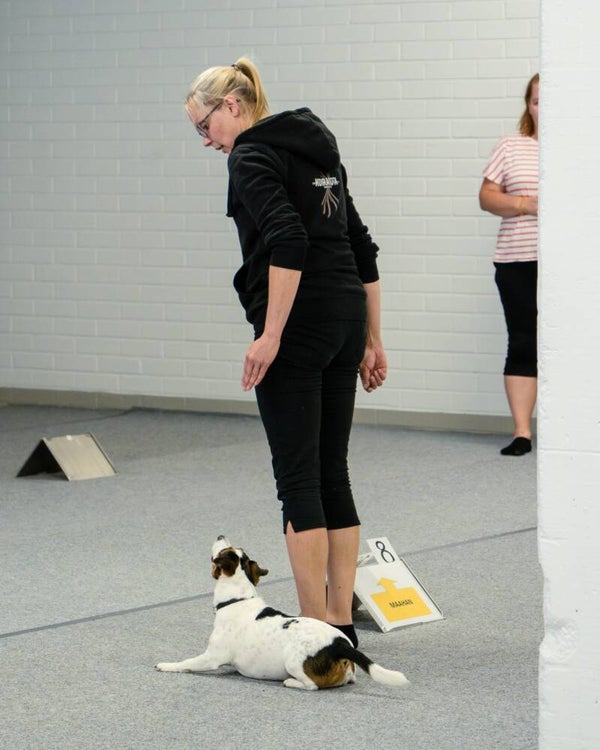 Rally-tokon teematunti - Asennot Su 14.12.