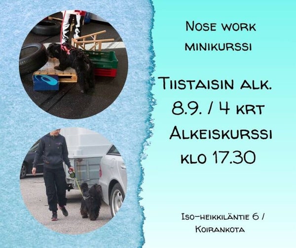 Nose work alkeiskurssi 4krt / Ti 8.9.2026 klo 17.30