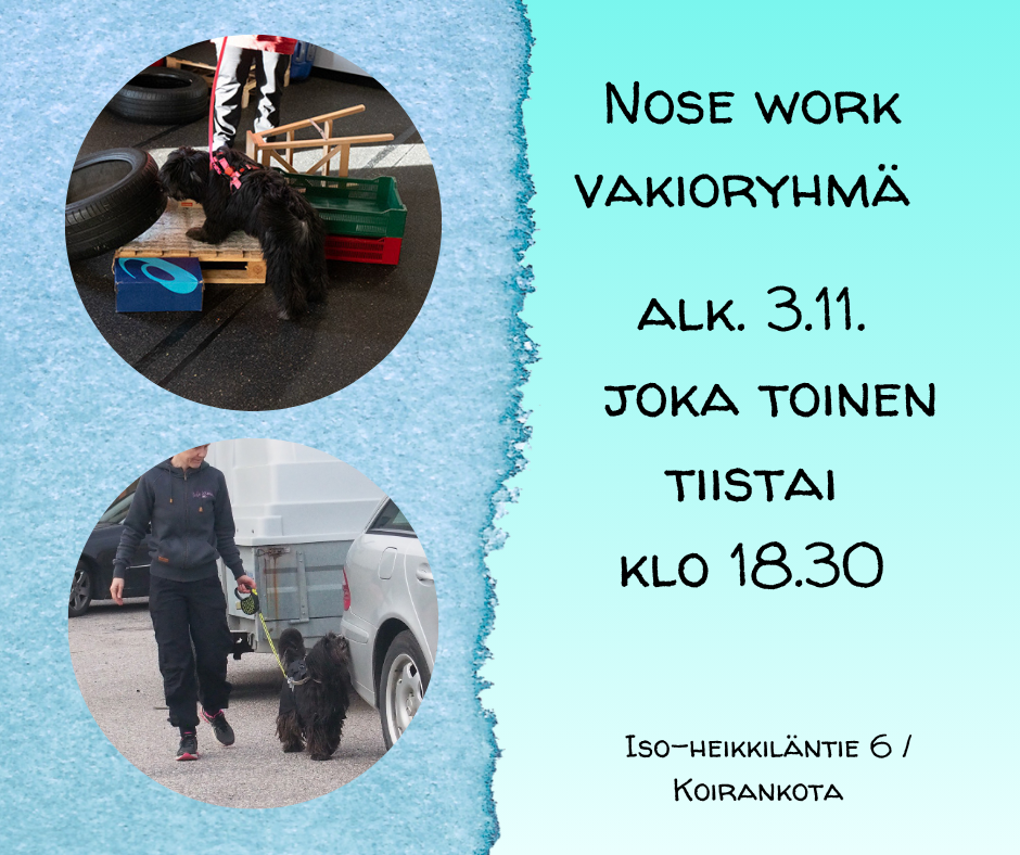 Nose work vakioryhmä 4krt marraskuu-joulukuu