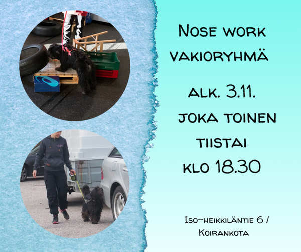 Nose work vakioryhmä 4krt marraskuu-joulukuu