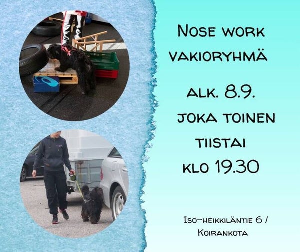 Nose work vakioryhmä 4krt