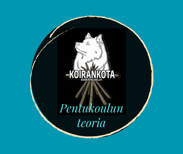 Pentukoulun teoria 1krt - valitse päivä