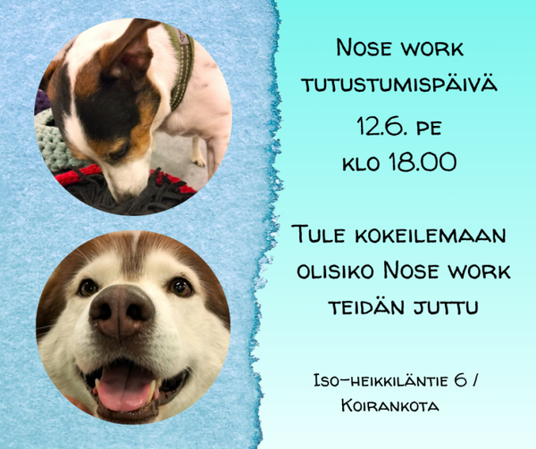 Nose work tutustumispäivä Pe 12.6. klo 18.00