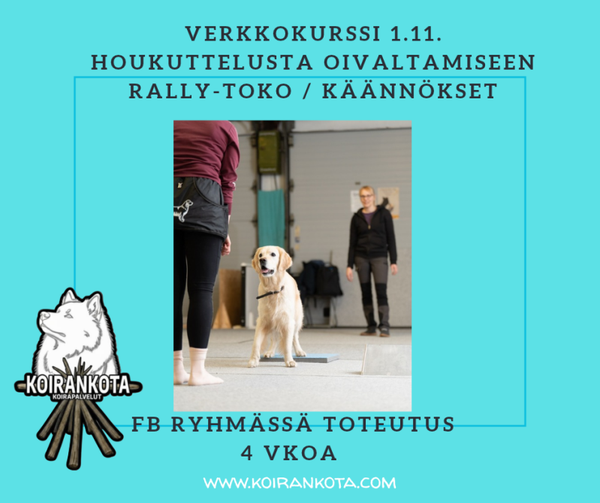 Verkkokurssi rally-toko käännöksien rakentamisesta 1.11.2026