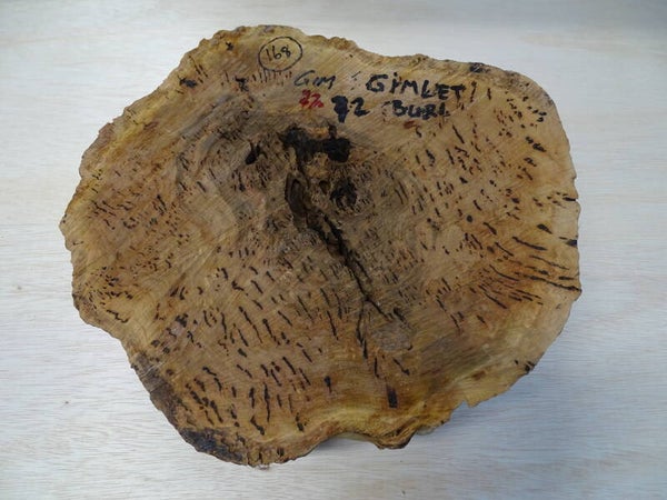 Nr.1 Gimlet Burl Australië rond 34cm x 15cm dik.Nr.