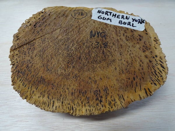 Nr.3 Northern York Gum Australië  rond 22/27 x 7,5 cm dik