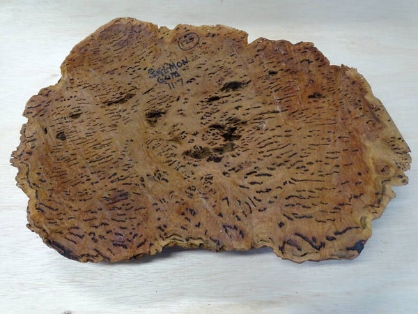 Nr.4 Salmon Gum Burl Australië rond 34/53cm x 10cm dik