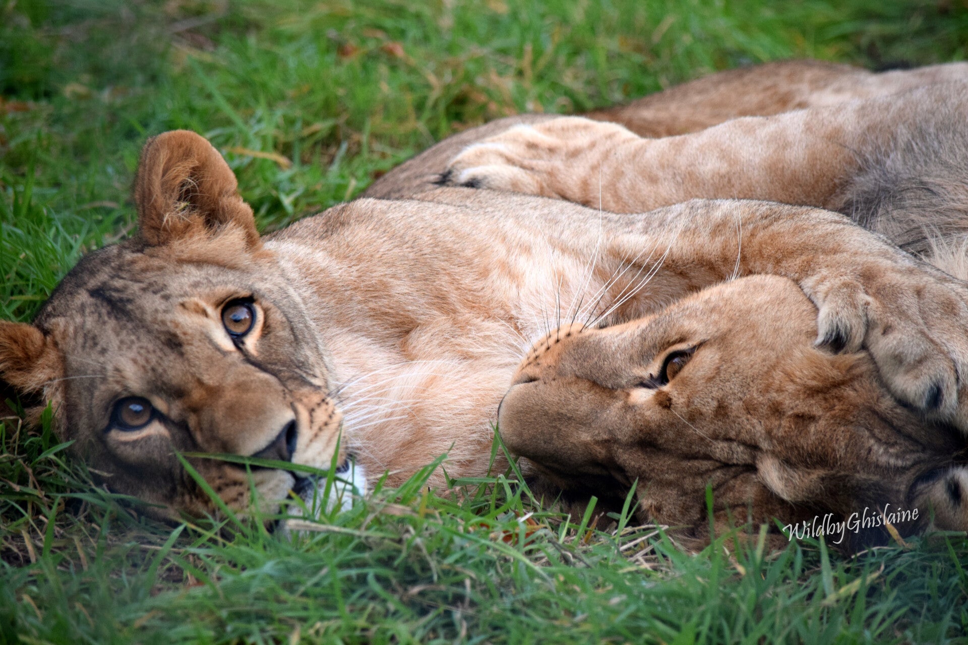 Picture 7