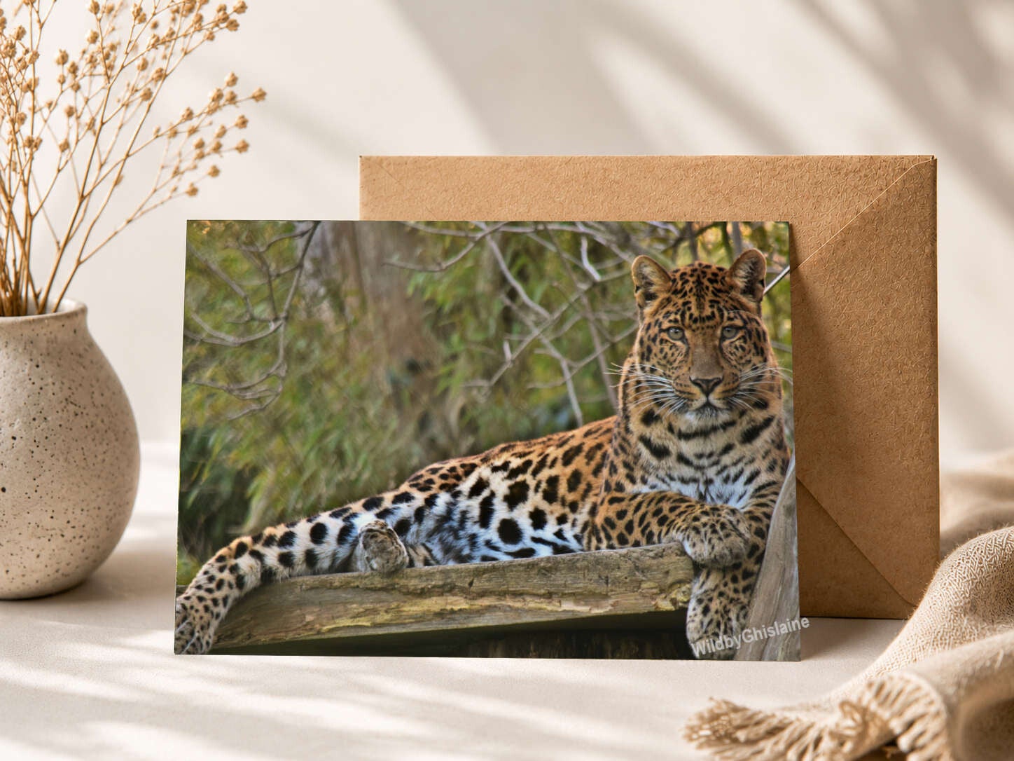 North-Chinese Leopard | wildlife greetings cards