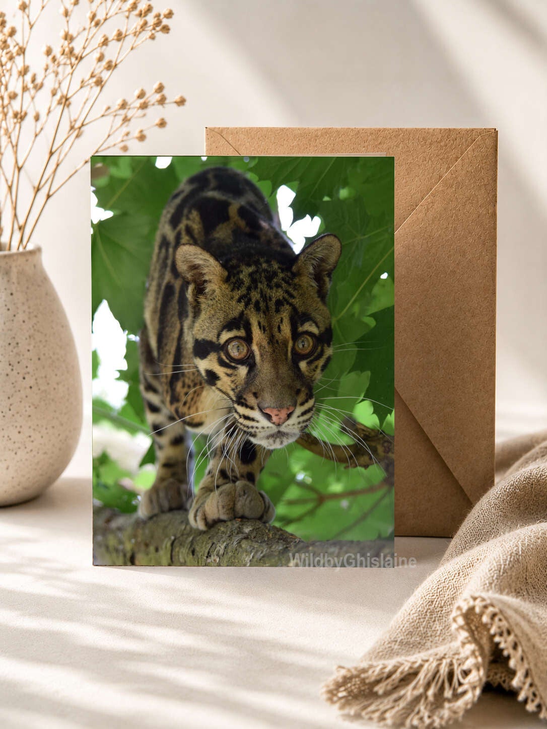 Wild Small Cats | wildlife greetings cards