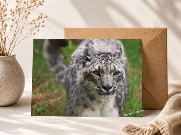 Snow Leopards | wildlife greetings cards