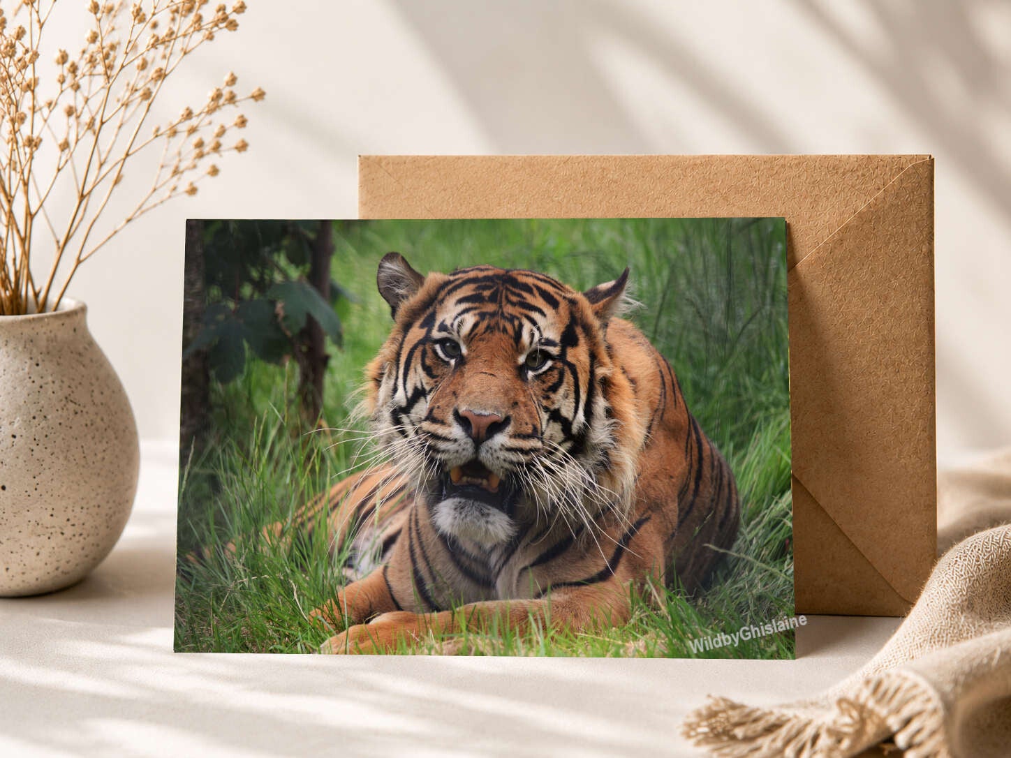 Sumatran Tiger | wildlife greetings cards