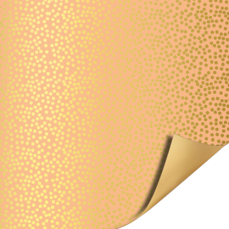 Rol cadeaupapier • 200 x 70 cm