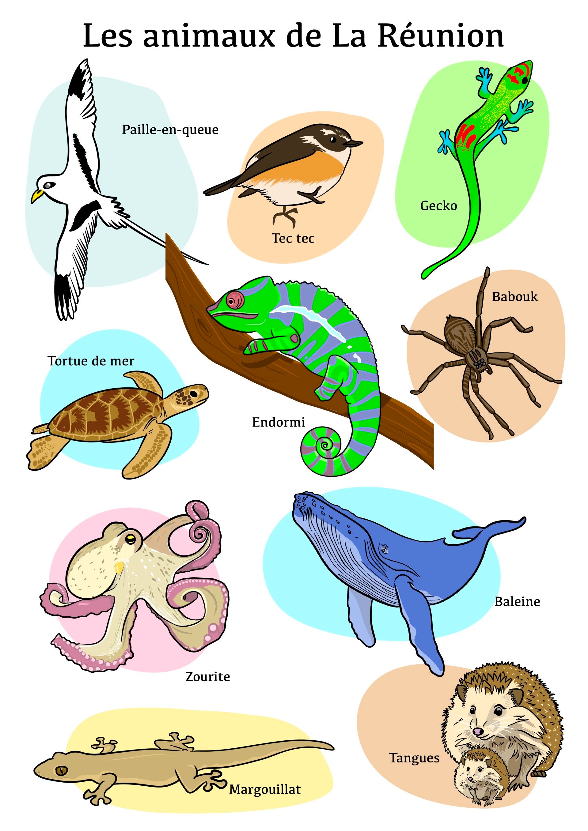 Affiche A3 – Les animaux de La Réunion