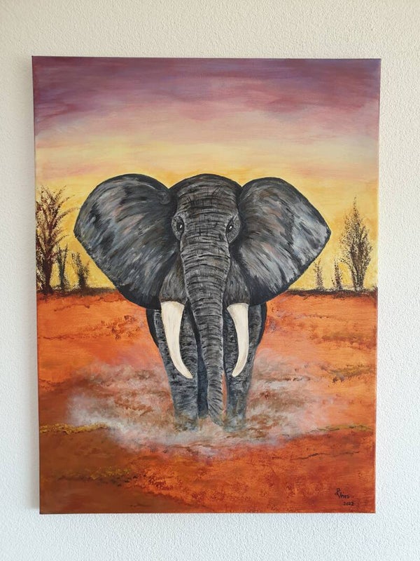Afrikaanse olifant