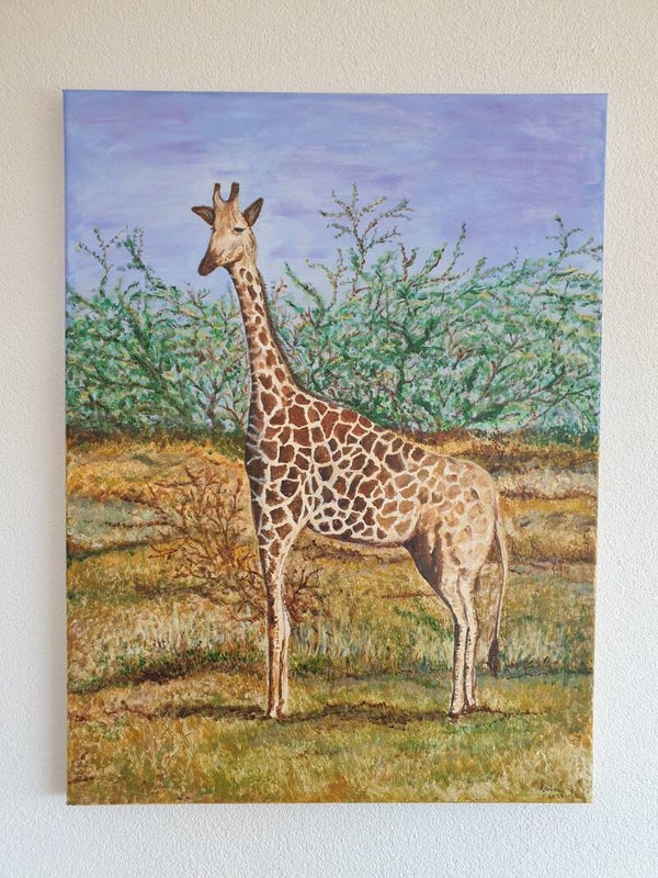 Giraffe
