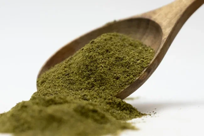 Baitforge halibut green prime