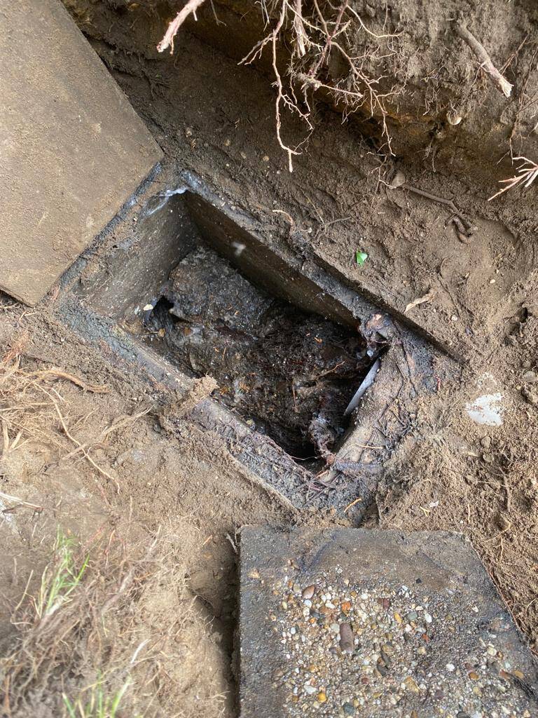 Erfscheidingsput volgegroeid met wortel