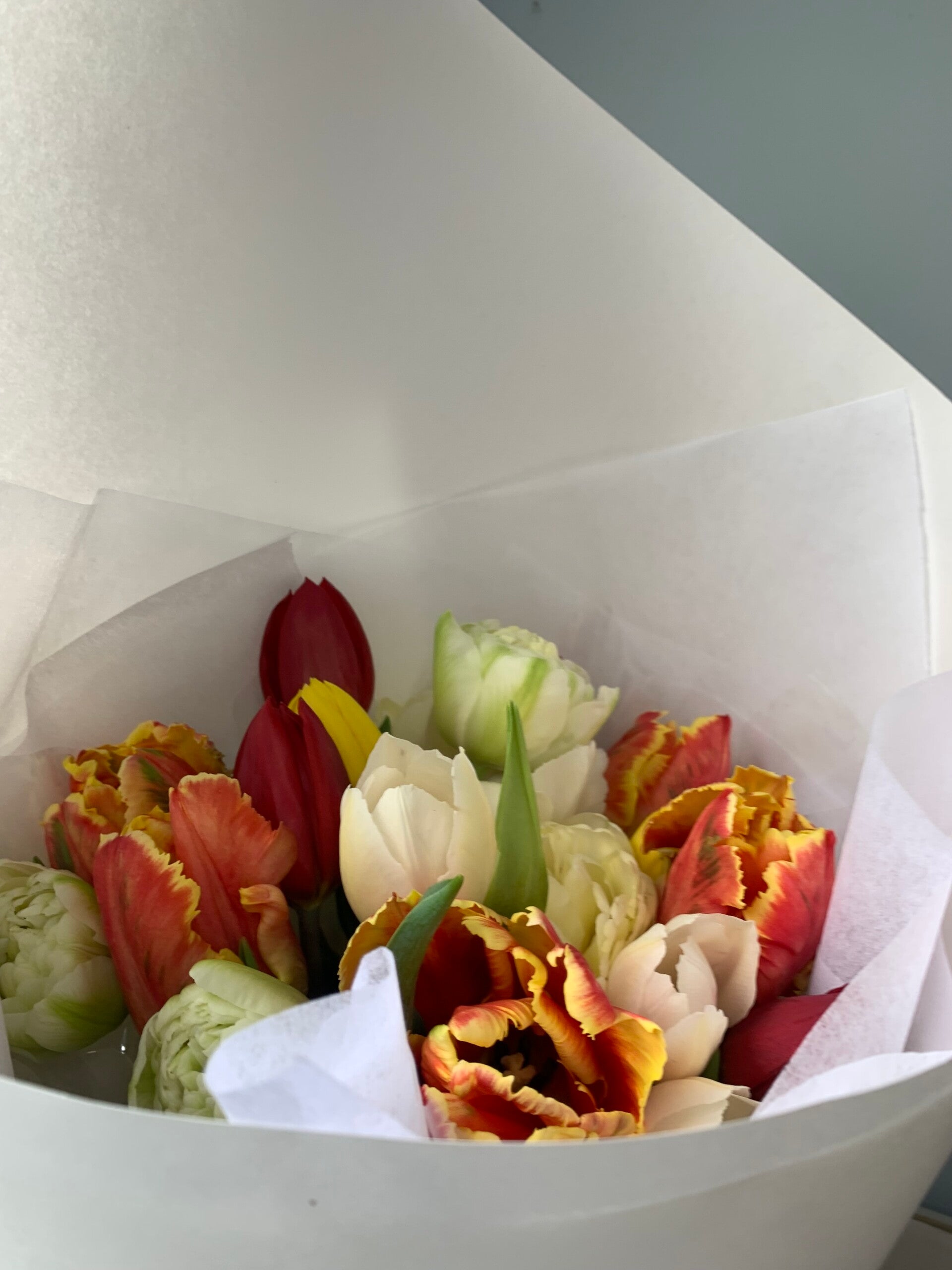 Seasonal Special - Mixed Tulips