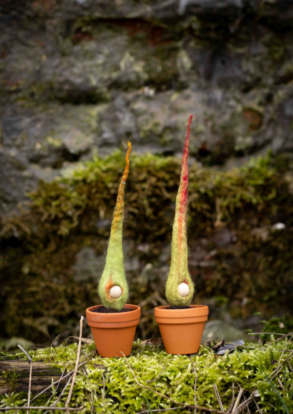 'Kiemduo' — Postkaartje