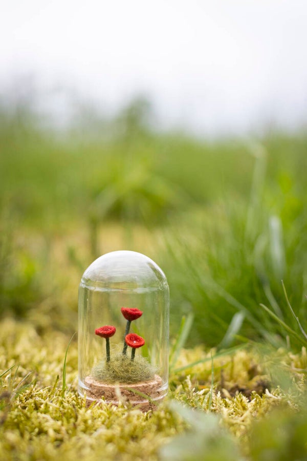 'Papaver' — postkaartje