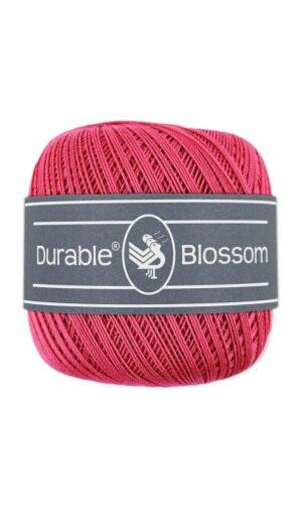 Blossom   Holly Berry   221