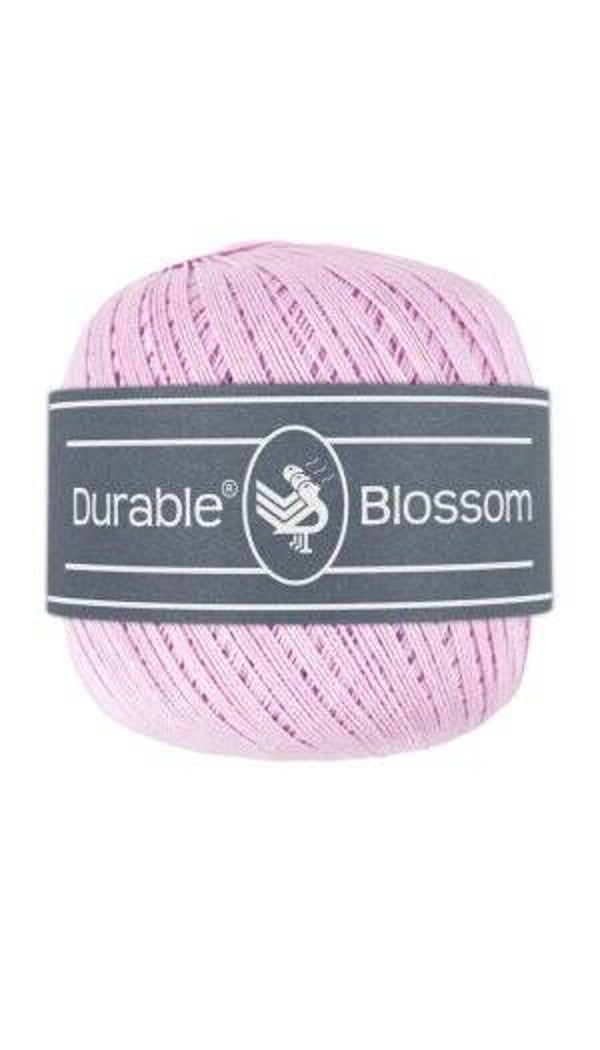 Blossom   Orchid   419