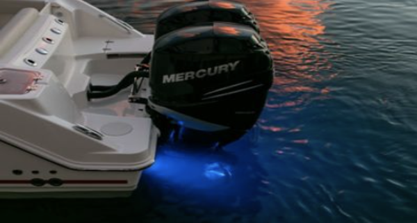 Underwater LED (Boston Whaler 250 Outrage) (Dual Engine)