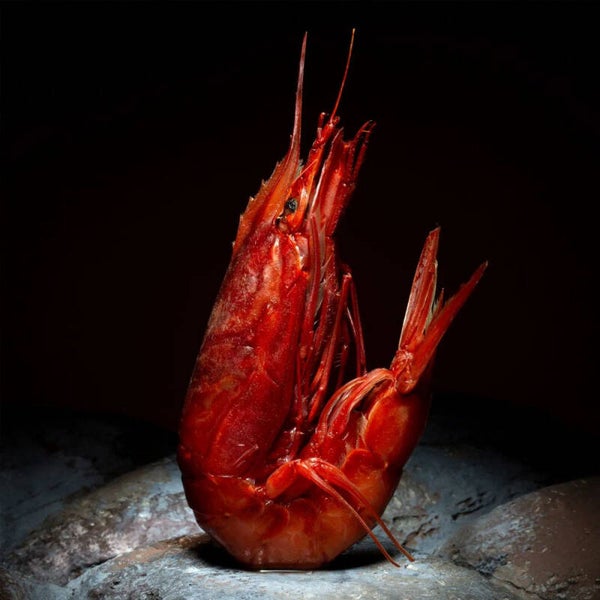 gambero rosso mazara