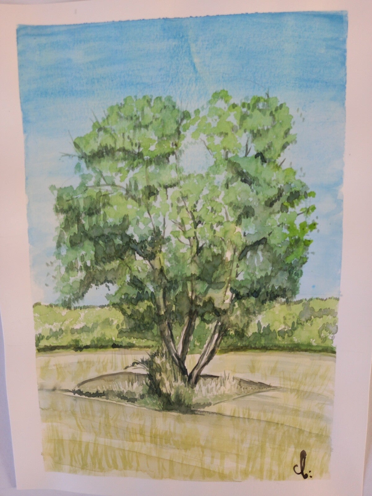 Aquarelle "Arbre dans les Champs" 30 x 40 cm